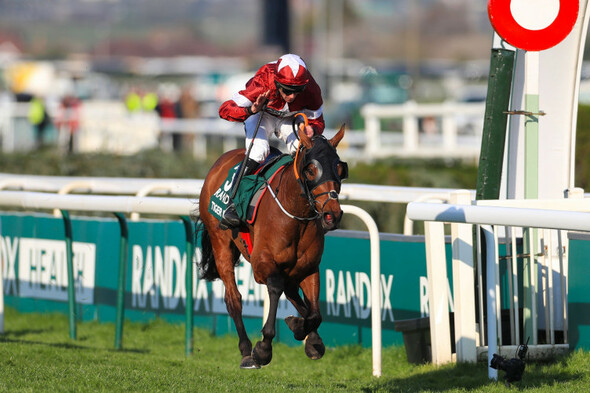 Tiger Roll in the mix for Grand National hat-trick bid - Vimarsana News