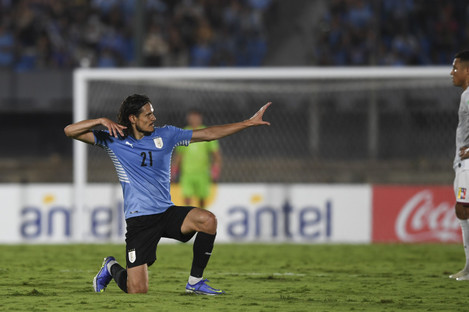 Edinson Cavani celebrates his goal for Uruguay.