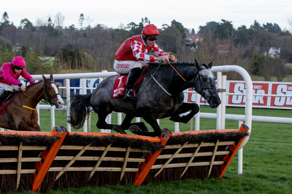 5 bets to consider as crowds return for the Dublin Racing Festival - Vimarsana News