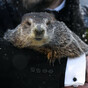 Punxsutawney Phil predicts six more weeks of winter in Groundhog Day ceremony