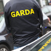 Two people arrested after two suspected shotguns seized in Co Kildare