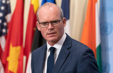 Coveney's focus on Defence portfolio brought into question by some after Russia controversy