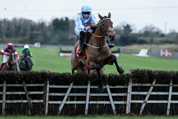 Donn McClean: 'Flawless' Honeysuckle headlines the Dublin Racing Festival - Vimarsana News