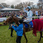 Johnny Ward: Honeysuckle shows there are still horses with star power