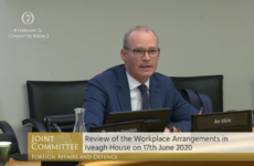 Coveney: Champagne-gate pic was 'careless mistake', says in hindsight he should have raised it with officials