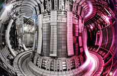 'Milestone' nuclear fusion energy record hit by UK-based scientists
