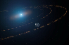 Planetary bodies seen for first time in habitable zone of dead star