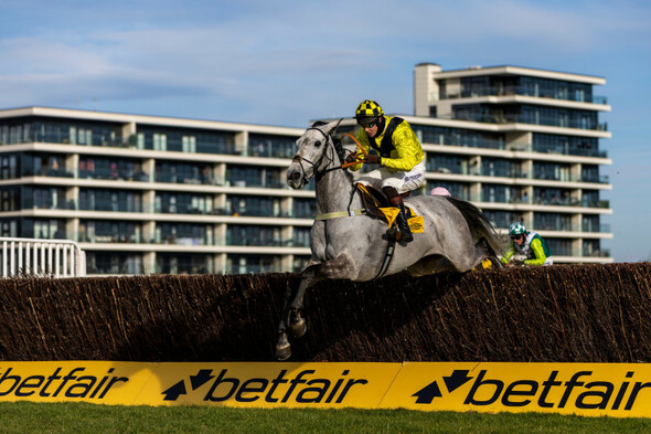 Eldorado Allen floors big guns in Denman Chase - Vimarsana News