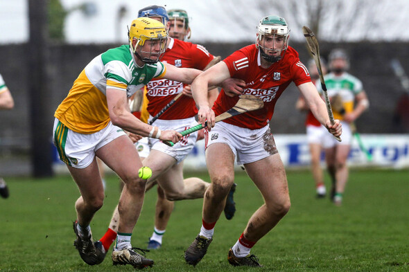 Cork building strength in depth as competition for places in attack heats up - Vimarsana News