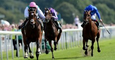Ain’t no stopping! Frankel simply sublime in Juddmonte win