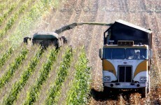 Column: GM crops aren’t just about science – this is a political decision