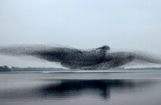 Here are the winners from the Press Photographer of the Year Awards