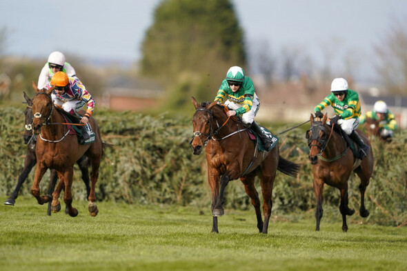 Naas option appeals to Walsh for Any Second Now - Vimarsana News