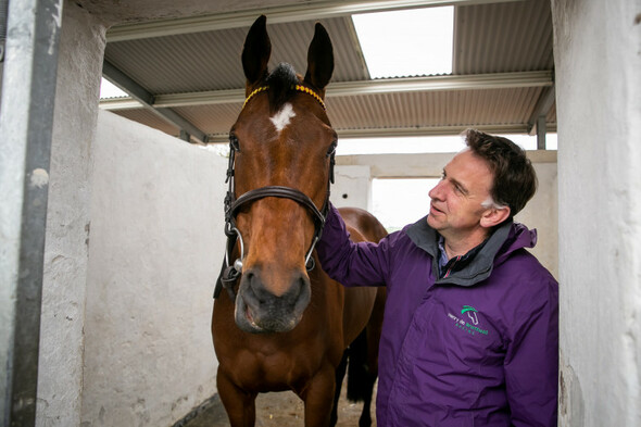 Donn McClean: Title-holder Minella Indo under-rated ahead of fascinating Cheltenham Gold Cup - Vimarsana News