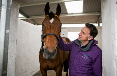 Donn McClean: Title-holder Minella Indo under-rated ahead of fascinating Cheltenham Gold Cup