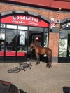 The Real Horse Outside in Limerick Pic of the Day