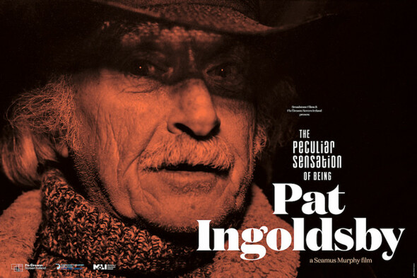 'He's done things on his own terms': The fascinating world of poet Pat Ingoldsby - Vimarsana News