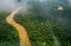 Amazon rainforest reaching ‘tipping point’ faster than expected, research shows
