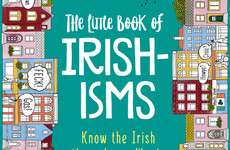 Extract: Irishisms - Craic, grand, yokes; what our words say about us