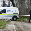 Man found injured in Dublin park had won money days before death, court hears