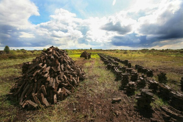 Calls to allow commercial peat harvesting but expert says it would be a 'bad step' for climate - Vimarsana News