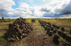 Calls to allow commercial peat harvesting but expert says it would be a 'bad step' for climate
