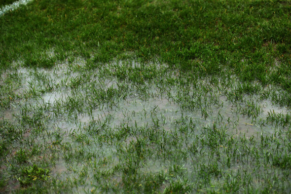 UCD's home clash with leaders Derry City this evening postponed - Vimarsana News