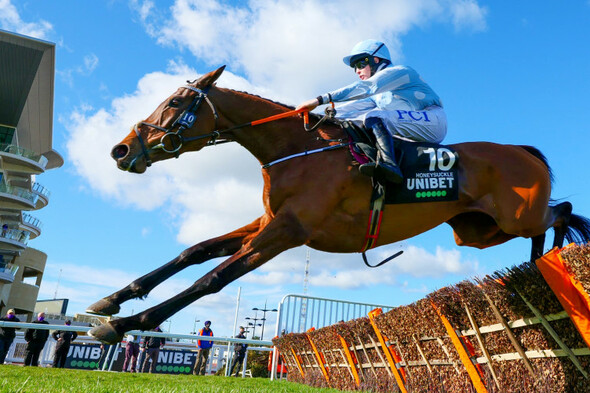 Honeysuckle heads 10 chasing Champion Hurdle honours - Vimarsana News