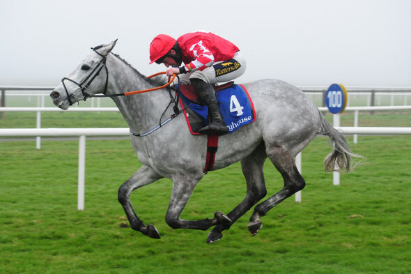 5 long shots worth a punt at this year's Cheltenham Festival - Vimarsana News