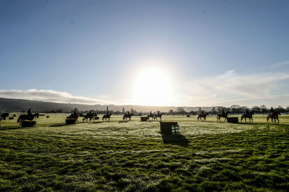 3 tips to get you up and running on Day 1 of the Cheltenham Festival - Vimarsana News
