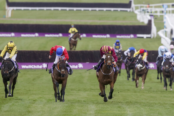 Minella Indo takes on 10 rivals in Cheltenham Gold Cup defence - Vimarsana News