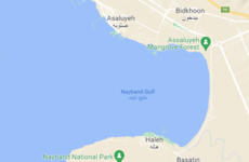 UAE cargo ship with 30 crew members sinks off Iran