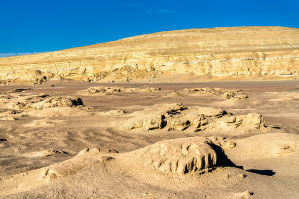 36-million-year-old whale fossil unveiled after being found in Peruvian desert - Vimarsana News