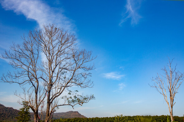 Dry weather with some sunshine in store for the rest of this week - Vimarsana News