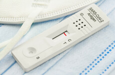 Virologist: 'Free mass antigen testing could help break this wave of Covid'