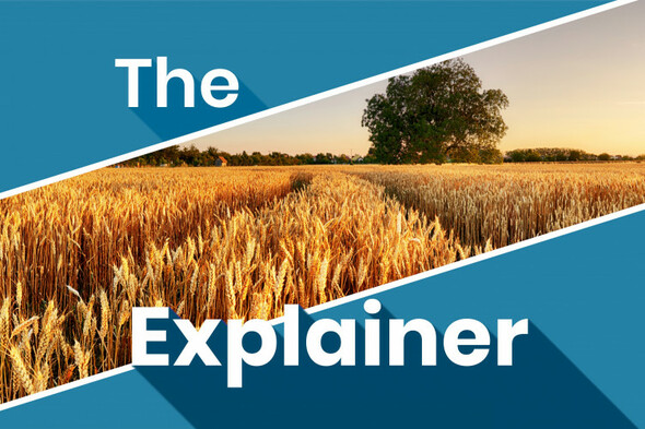 The Explainer: How secure is Ireland's food supply? · TheJournal.ie - Vimarsana News