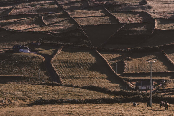 Irish speakers are leaving Gaeltacht areas due to problems with planning and a lack of housing - Vimarsana News