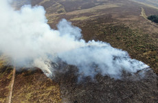 'Man-made fire is now a permanent feature of our year': Minister condemns 300-hectare fire in Wicklow