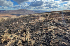 'Incredibly difficult' to prosecute people for starting illegal fires, Heritage Minister says