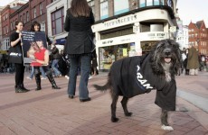 Animal rights group to march in Dublin