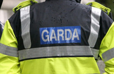 Gardaí investigating second discovery of decapitated animal in south Dublin