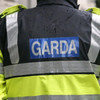 Gardaí investigating second discovery of decapitated animal in south Dublin