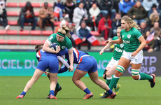 Ireland fall to 35-point defeat against classy French side on difficult day in Toulouse