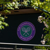 Wimbledon chiefs in talks with UK Government to ban Russian players