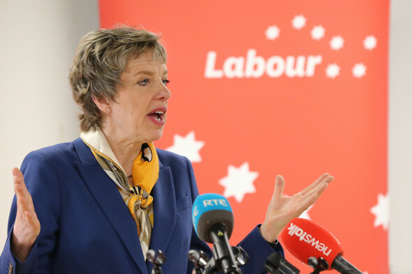 Government response to climate crisis 'inadequate', Ivana Bacik says - Vimarsana News