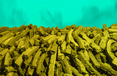Peat pressure: Industrial peat extraction in enforcement firing line