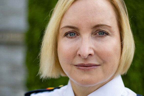 Garda Inspector: specialist garda units struggling to carry out domestic violence cases due to workload - Vimarsana News
