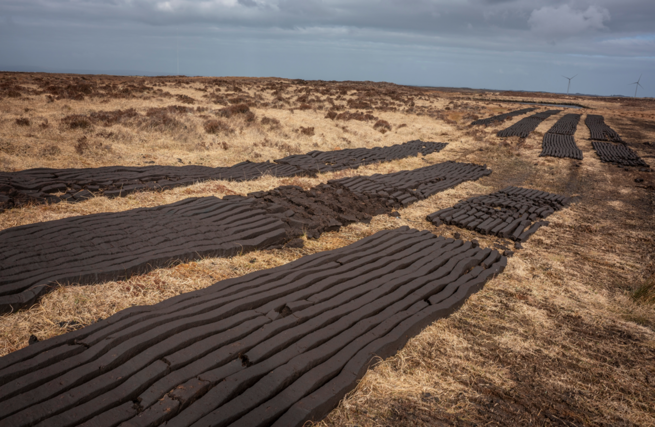 'We won’t put your granny in prison for burning turf', says Ryan