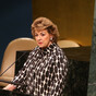UN Security Council needs reform, says Irish ambassador to UN