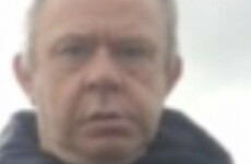 Gardaí issue appeal for man missing from Co Louth since last month